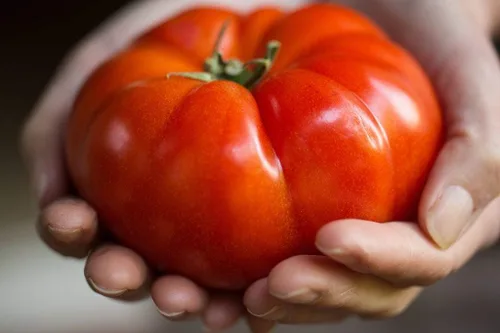 Vista 5 de Semillas Red Giant Beefsteak Tomate Indeterminado No GMO Heirloom