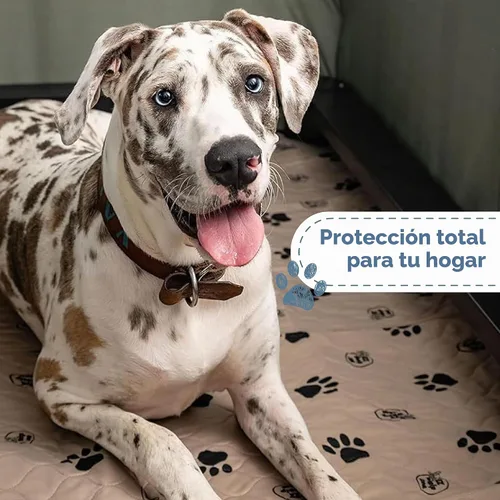 Vista 5 de EZwhelp Almohadillas reutilizables para orina de perro, lavables e impermeables para entrenamiento de orinal o partos, almohadilla para cachorros