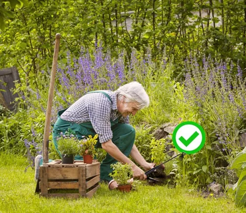 Vista 3 de Herramienta de eliminación de malezas, nuevas herramientas de deshierbe de jardín, herramienta de desmalezadora manual de acero al manganeso