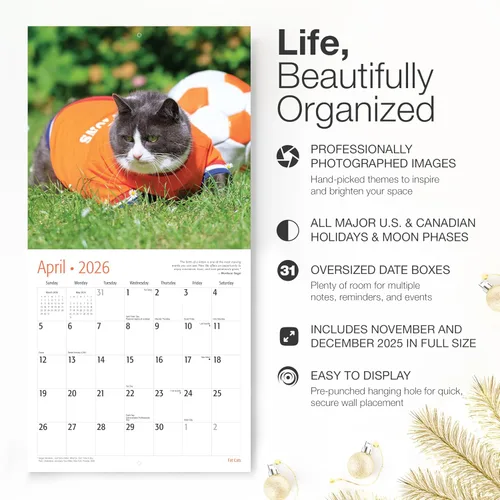Vista 2 de RED EMBER Fat Cats - Calendario de pared 2026 de 12 meses, abierto de 12 x 24 pulgadas, papel grueso y resistente, regalo de vacaciones, calendario