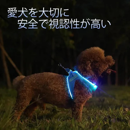 Vista 3 de PceoTllar Arnés para perro con luz LED, reflectante sin tirones, luz intermitente para caminar por la noche, talla S/M, (azul XS)