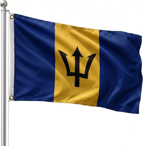 Vista 128 de DMSE - Bandera nacional beninesa beninesa de la República de África Occidental, 2 x 3 pies, 100 % poliéster, 100 % poliéster, resistente a los rayos
