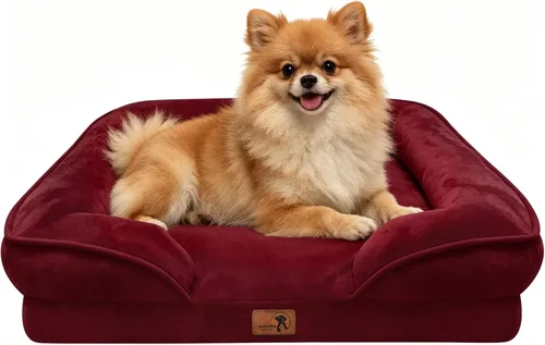 Vista 21 de Spotted Play Cama ortopédica para perros con lados, sofá cama para perros pequeños, sofá cama de espuma de apoyo para mascotas con funda extraíble