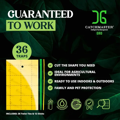 Vista 4 de Catchmaster GRO - Trampas adhesivas regulares de doble cara amarillas, paquete de 36 unidades, trampa adhesiva para insectos y moscas de la fruta