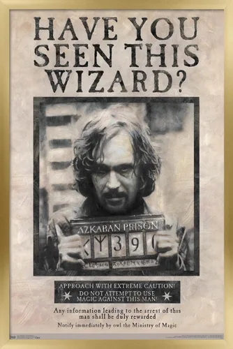 Vista 9 de Trends International El Mundo Mágico: Harry Potter - Póster de Buscado de Sirius Black, Póster de Pared, 14.725" x 22.375", Versión con Marco