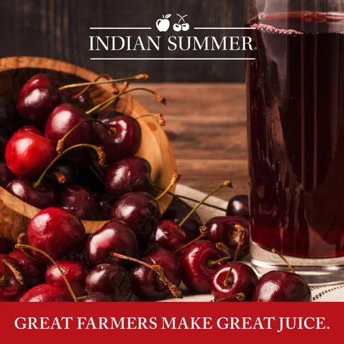 Vista 5 de Indian Summer Puré de manzana en trozos premium hecho con manzanas estadounidenses por cultivadores estadounidenses