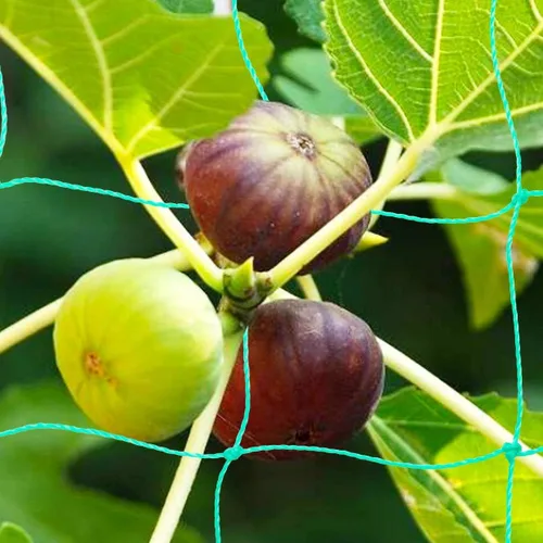 Vista 3 de Paquete de 2 redes de enrejado de pepino y tomate, red de jardín resistente para soporte de plantas trepadoras, guisantes, uvas, frijoles, frutas