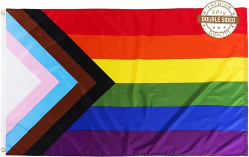 Vista 8 de TOPFLAGS Bandera del orgullo para exteriores, banderas de orgullo de progreso para exteriores, 10 x 15 pulgadas, grande, gay, bisexual, LGBTQ + arco