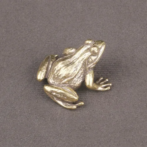 Vista 5 de VOSAREA Figura de rana de latón Feng Shui, estatua de rana de latón animal de té para mascotas para el hogar, oficina, estante de escritorio