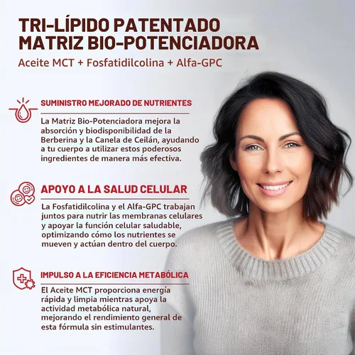 Vista 5 de aSquared Nutrition Suplemento de Berberina con Canela de Ceilán - Complejo de Máxima Potencia de 1400mg - 120 Cápsulas - Extracto en Polvo HCl
