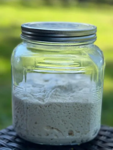 Vista 2 de Lievito Madre - Iniciador de masa madre con uvas orgánicas, fresca, fácil de usar, auténtica levadura de pan italiana para panes artesanales