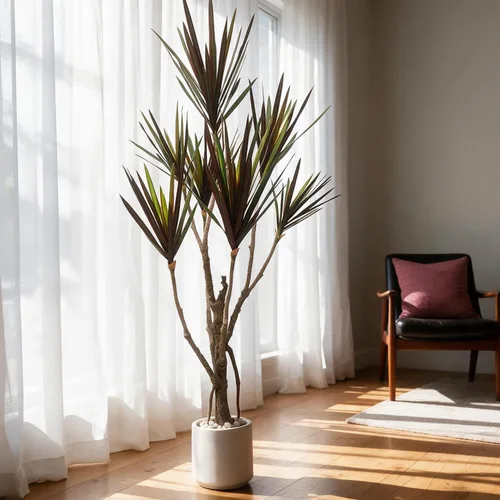 Vista 7 de Dracaena marginata - Planta artificial de 5.2 pies, árbol de dragón