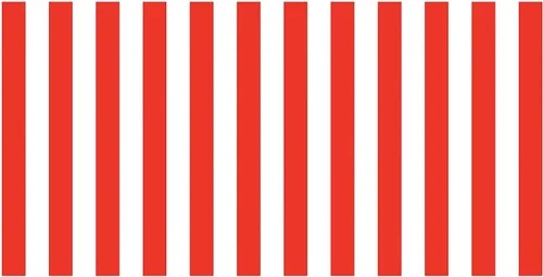 Vista 4 de Papel decorativo Pacon Fadeless para carteleras, negro/blanco(Black & White Classic Stripes)