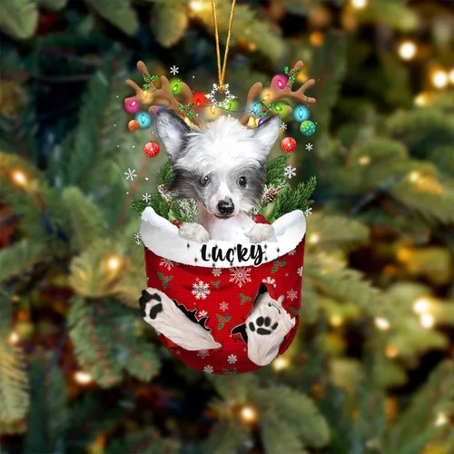 Vista 51 de Adorno de Navidad personalizado para perro Airedale Terrier en bolsillo de nieve, adorno para árbol de Navidad, idea de regalo para amantes