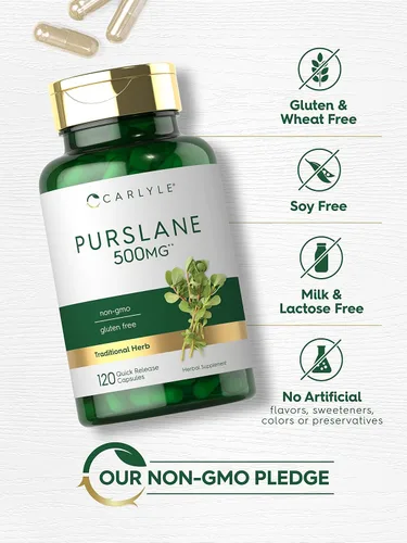 Vista 4 de Carlyle Cápsulas de verdolaga 500mg 120 unidades Extracto de Portulaca Oleracea Suplemento sin OGM, sin gluten