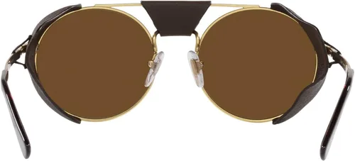 Vista 7 de Persol PO2496SZ - Gafas de sol redondas DoradoMarrón polarizado