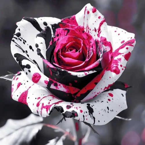 Vista 4 de Más de 400 semillas de rosas para plantar flores, semillas de rosas raras perennes, sin OMG, reliquia de flores, jardín, hogar, grandes regalos