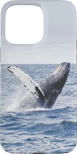 Vista 31 de Whale Case for iPhone 17