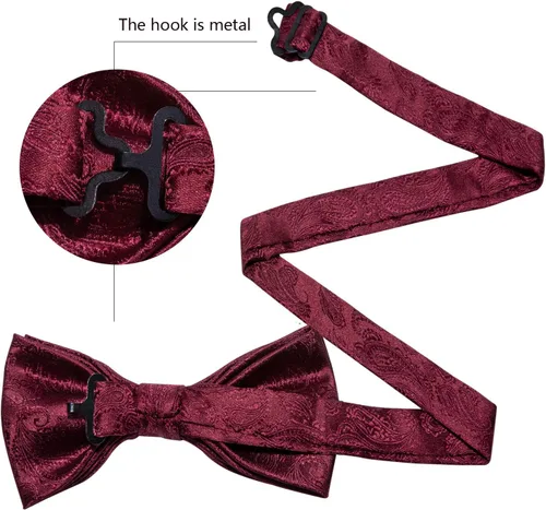 Vista 4 de Barry.Wang Pajarita de Rayas Paisley para Hombre de Seda Preatada Pañuelo de Bolsillo Gemelos Juego Formal Boda Fiesta Graduación