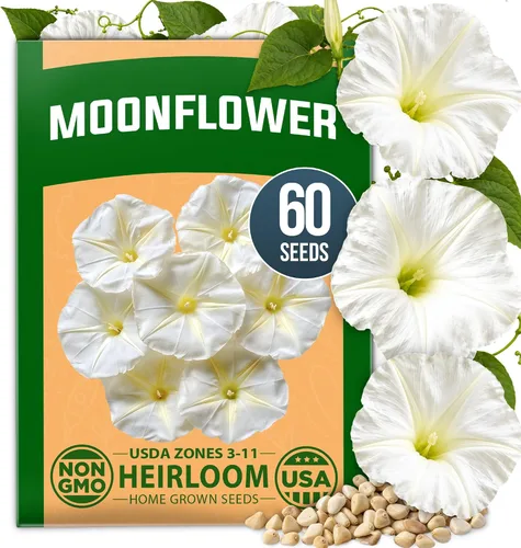 Vista 176 de HOME GROWN California Poppy Formula Mix 3000 Semillas Eschscholzia