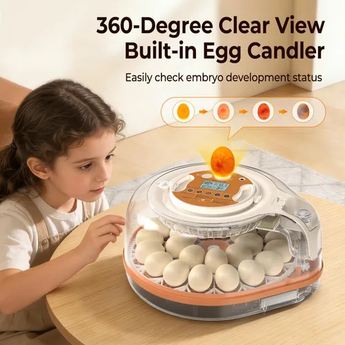 Vista 8 de Incubadoras para incubar huevos con asistente de voz inteligente, incubadora de 26 huevos con girador automático de huevos y control de humedad