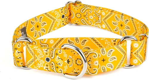 Vista 15 de Country Brook Petz - Collar de perro Albuquerque Martingale - Colección Country and Western con diseños rústicos (1/2 pulgada, 2XS)