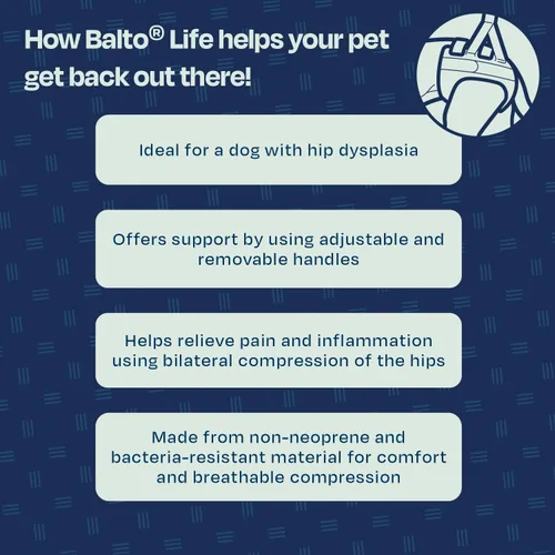 Vista 4 de Balto Life - Soporte para displasia de cadera, arnés de soporte de cadera para perro, soporte de compresión ajustable en el extremo trasero