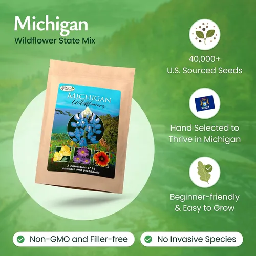Vista 2 de Mezcla de semillas de flores silvestres de Michigan: más de 40,000 semillas
