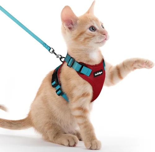 Vista 98 de rabbitgoo Cat Harness and Leash Set, Escape Proof Vest, XXS, Berry Pounce Soft Breathable Mesh, No-choke Adjustable Fit, Snap Buckles, Sturdy