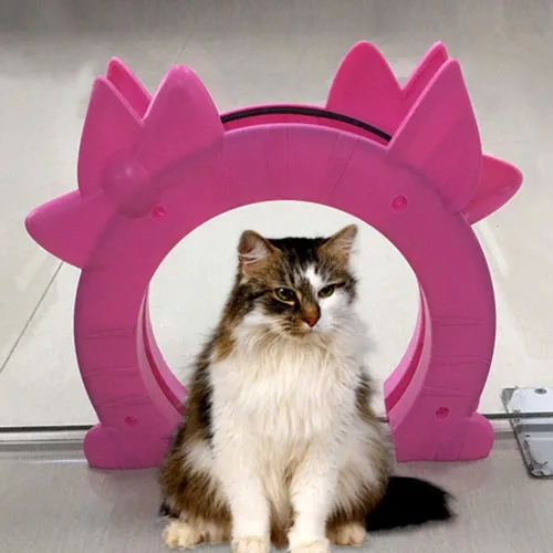 Vista 2 de Puerta para gatos, puerta interior para gatos, paso grande para gatos adultos de hasta 20 libras, puerta de mascota fácil de instalar, se mantiene