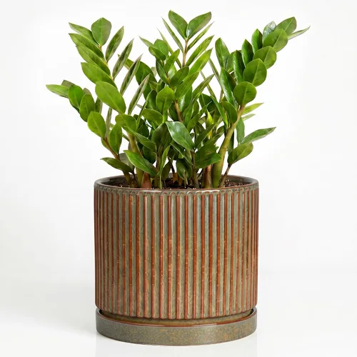 Vista 19 de 8 Inch Flower Pot, Ceramic Planters, Round Plant Pot, Beige