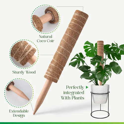 Vista 5 de Pisol Poste de musgo para plantas Monstera, soporte extensible, estacas para plantas en maceta de interior, enrejado de poste de fibra de coco