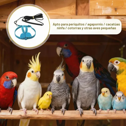 Vista 5 de Correa de arnés para pájaros, arnés ajustable para pájaros y loros para mascotas, ligera, antimordeduras, cuerda de entrenamiento de vuelo con linda
