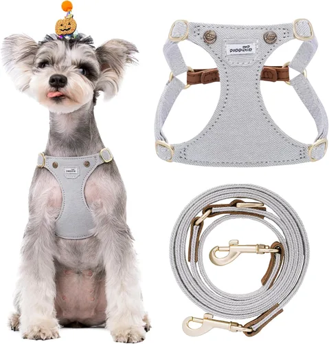 Vista 9 de Arnés sin tirones para perro, con correa multifunción, pechera suave y ajustable para mascota, no ahorca, chaleco a prueba de escape, azul vaquero