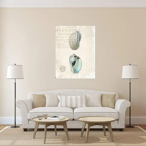 Vista 2 de Buyartforless Póster vintage Seashells by Stacey Powell (40 x 30 pulgadas)