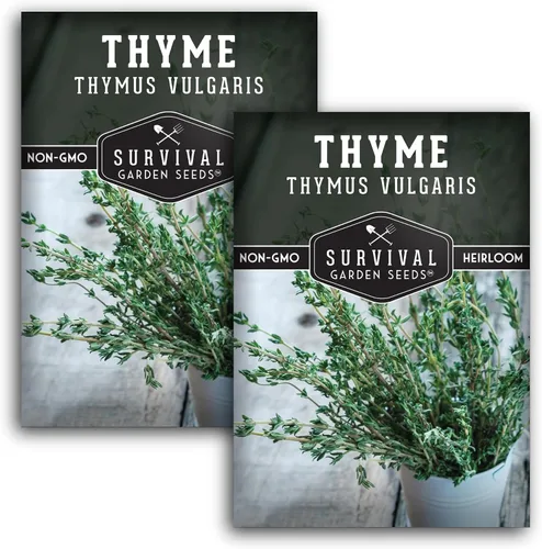 Vista 10 de Semillas de tomillo para plantar en interiores o exteriores, semillas de tomillo inglés (Thymus Vulgaris) para jardines de hierbas del hogar