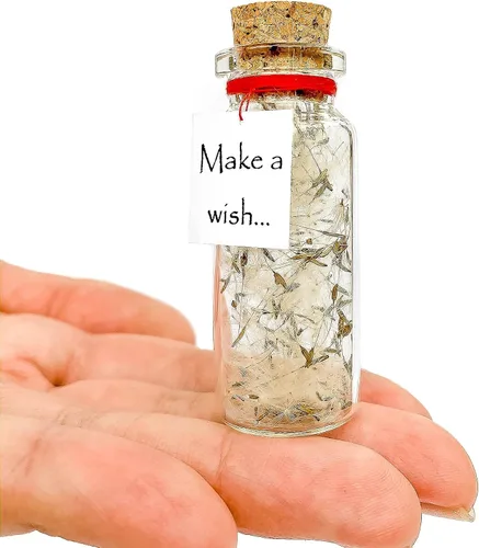 Vista 14 de Kseniya Revta Idea de regalo inspiradora con mensaje en una botella - Regalos elegantes para amigos y familia - Regalos únicos para novio y novia