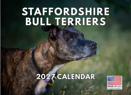 Vista 77 de Calendario mensual de pared Airedale Terrier Dog 2027