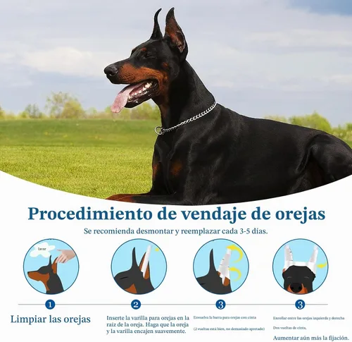 Vista 3 de Doberman - Kit de publicación de oído para el cuidado de los oídos, cinta Kit de cuidado de oídos Doberman, agarre seguro para dar forma a