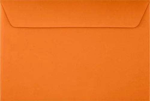 Vista 3 de LUXPaper Sobres para folletos de 6 x 9 Verde festivo Texto de 80 libras 500 unidades verde Navidad