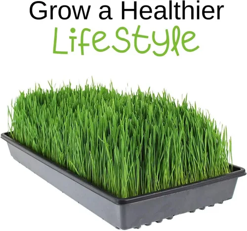 Vista 6 de Handy Pantry Micro-Mats - Almohadillas hidropónicas de cultivo - para producción orgánica - Paquete de 500 - Germinación de plantas y semillas