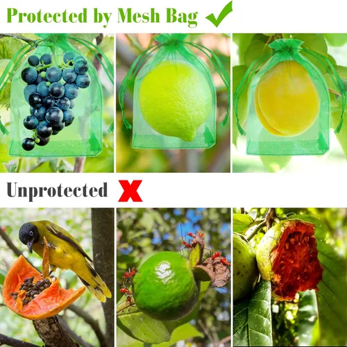 Vista 5 de Morcheiong 60 bolsas de protección de frutas de 6 x 8 pulgadas, bolsas reutilizables de red de frutas para árboles frutales, bolsas de malla de red