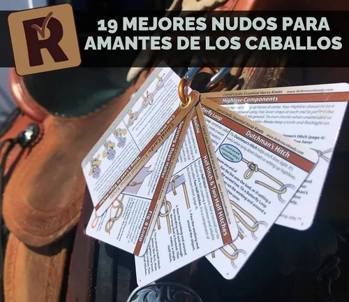 Vista 7 de ReferenceReady Tarjetas de Nudo de Caballo – Guía de Bolsillo para 19 Paquetes y Nudos de Montar a Caballo - Cosas de Caballo para Niñas y Niños