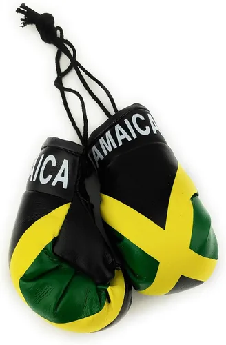 Vista 42 de Mini guantes de boxeo para colgar en el espejo del coche (Camerún)