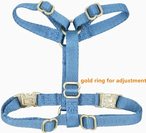Vista 3 de Arnés de nailon para perro sin tirones con hebillas de metal doradas, arnés para perro fácil de caminar y entrenar (azul aire, XS)