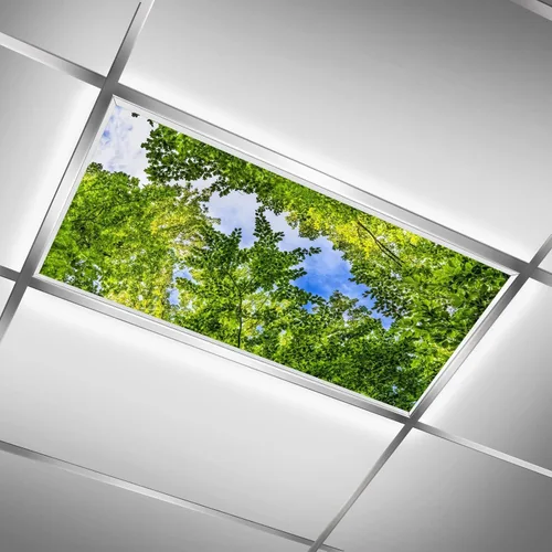 Vista 29 de Inserto de Cubierta de Luz de Techo Suspendido 4' x 2' pies (Naturaleza Bosque Hojas de Bambú Sol Verde) - Cubierta de Luz Fluorescente Reduce