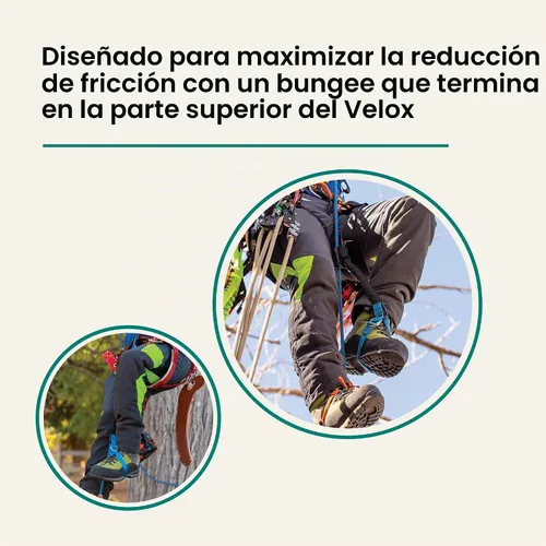 Vista 3 de Weaver Arborist Nylon HAAS Velox Ascent System, Regular El diseño de configuración cero ayuda a los escaladores a moverse de manera eficiente