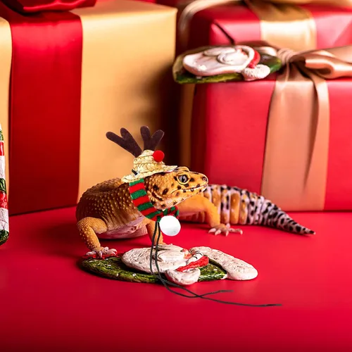 Vista 3 de 3 piezas de sombrero de Papá Noel de dragón barbudo de Navidad con bufanda, sombrero de Navidad ajustable colorido ropa de Navidad, accesorio