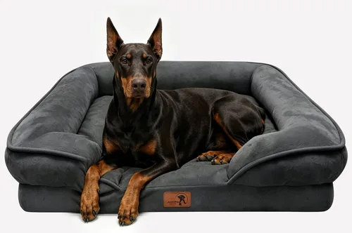 Vista 43 de Spotted Play Cama ortopédica para perros con lados, sofá cama para perros pequeños, sofá cama de espuma de apoyo para mascotas con funda extraíble