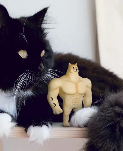 Vista 7 de Youtooz Swole Doge - Figura de vinilo de 5 pulgadas, colección de memes Buff Doge basada en famosos memes de Internet